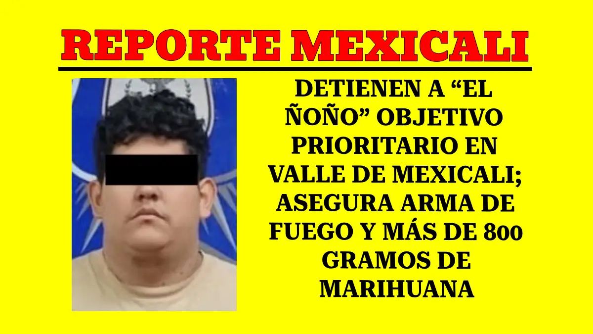 DETIENEN A “EL ÑOÑO” OBJETIVO PRIORITARIO EN VALLE DE MEXICALI; ASEGURA ARMA DE FUEGO Y MÁS DE 800 GRAMOS DE MARIHUANA