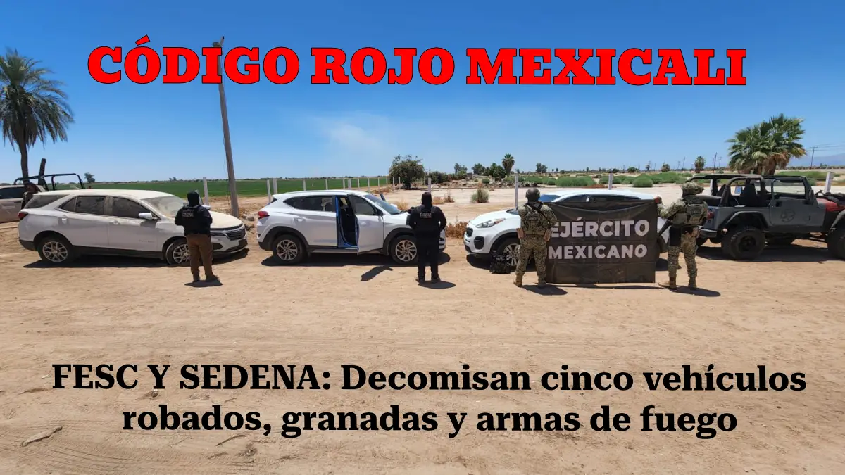FESC Y SEDENA: Decomisan cinco vehículos robados, granadas y armas de fuego