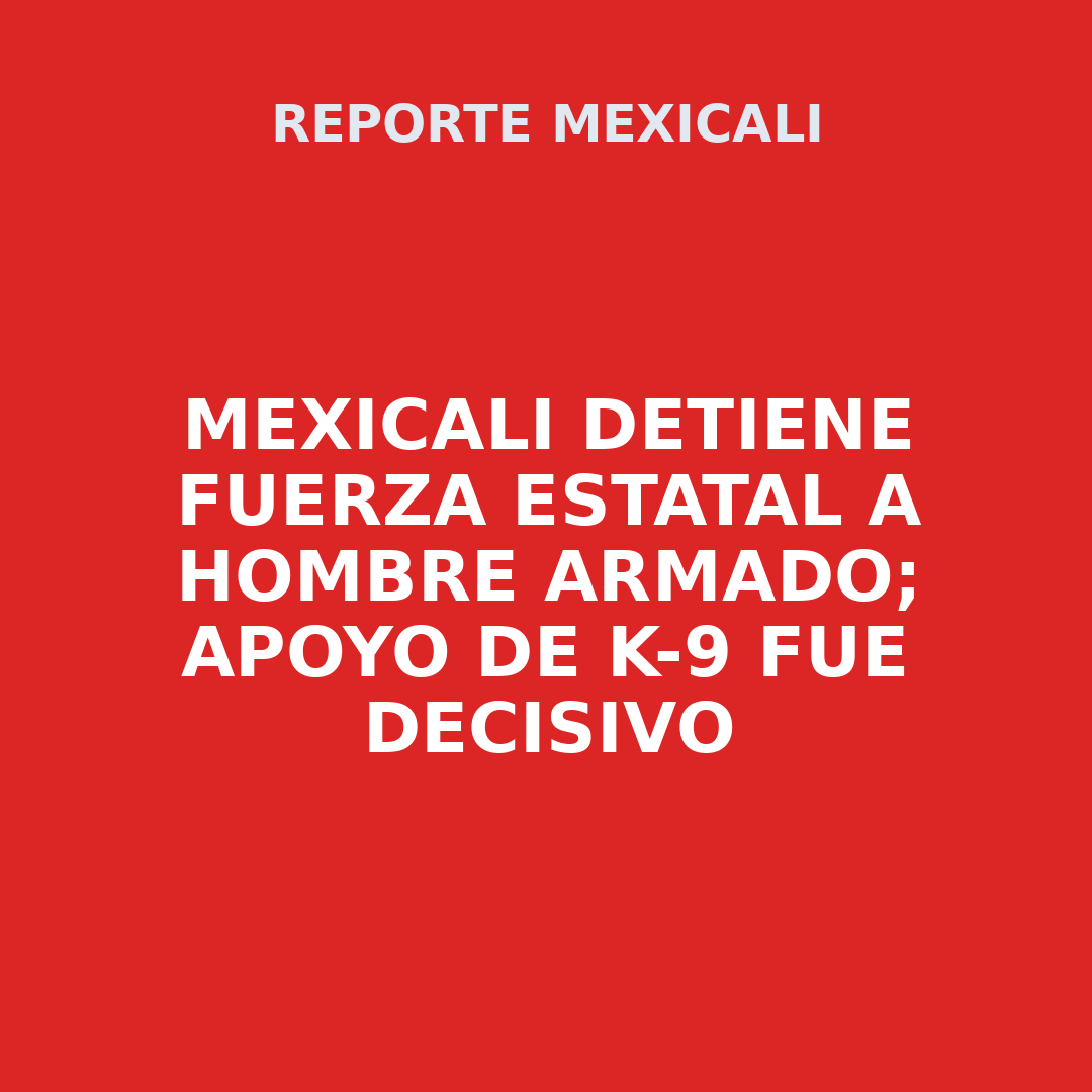 MEXICALI Detiene fuerza estatal a hombre armado; Apoyo de K-9 fue decisivo